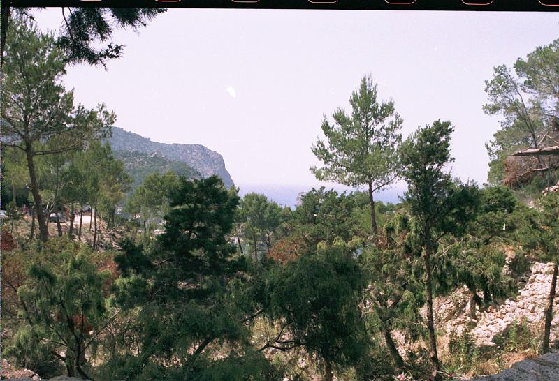 Ibiza008