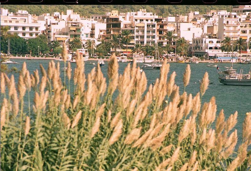 Ibiza064