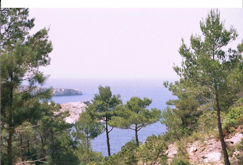 Ibiza091
