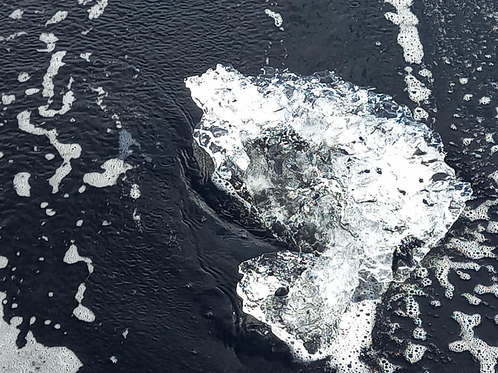 Island0868
