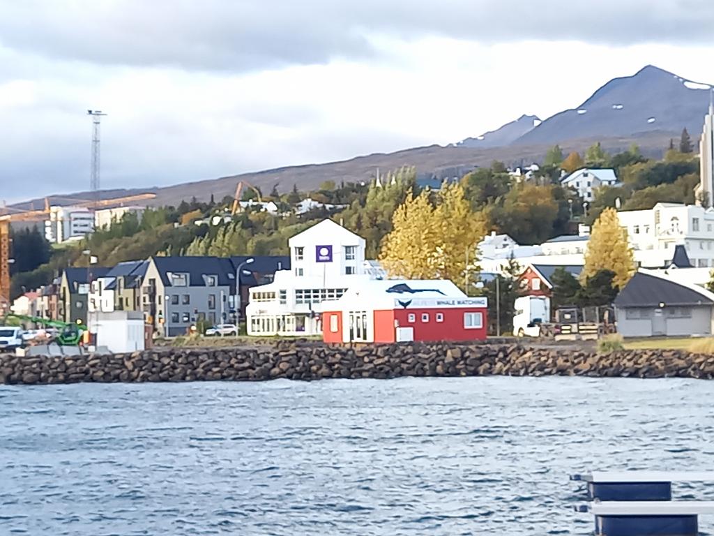 Island1108