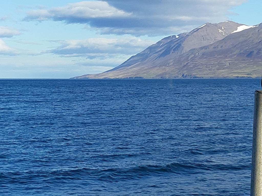 Island1127