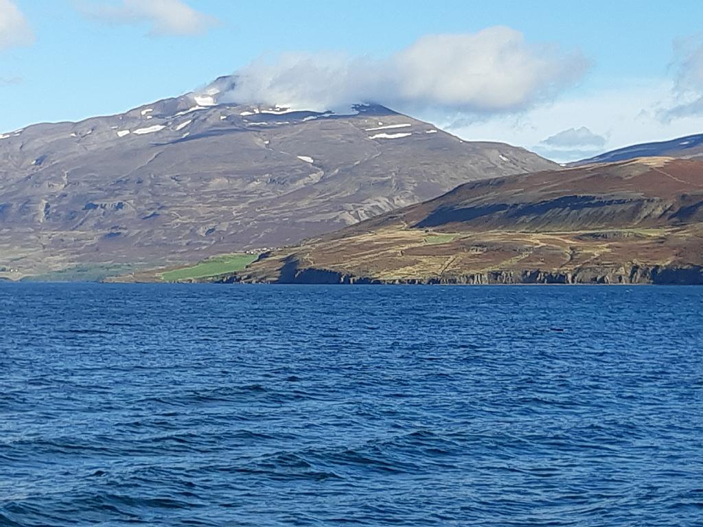 Island1131