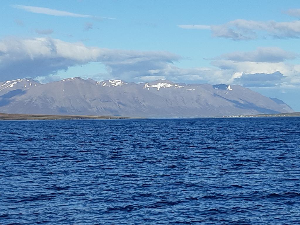 Island1136