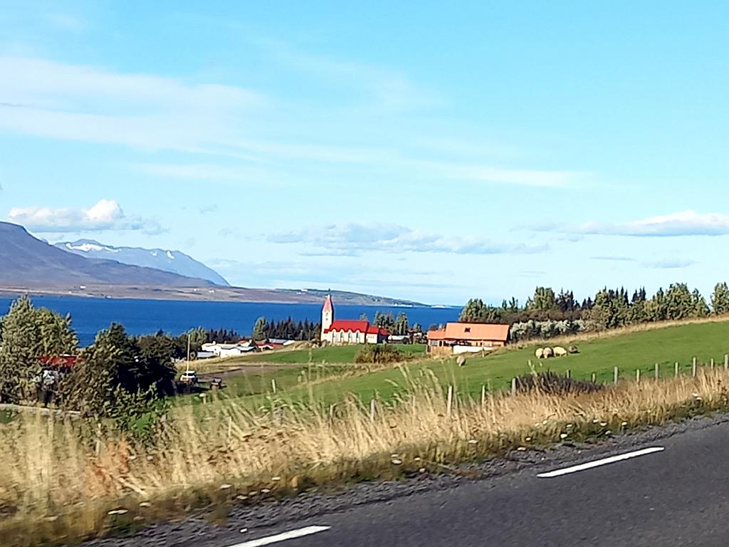 Island1163