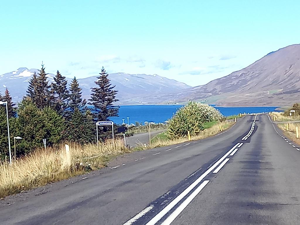 Island1165
