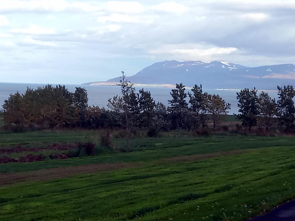 Island1261