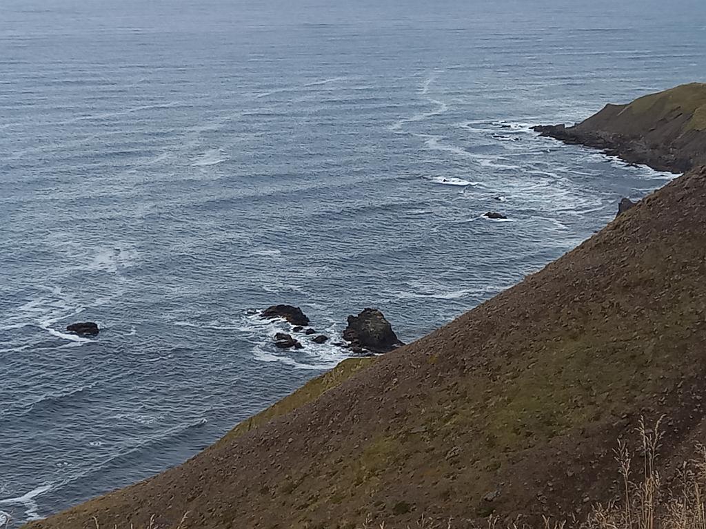 Island1318