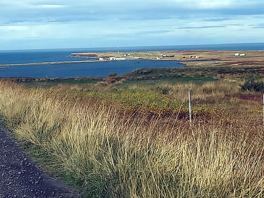 Island1339