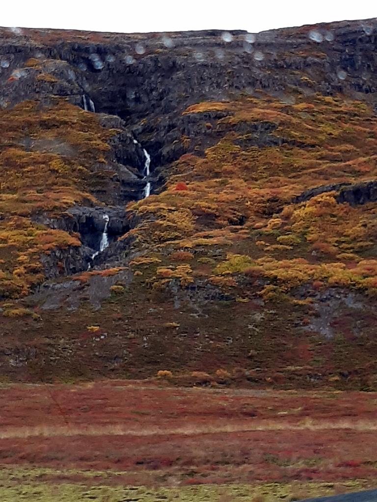 Island1446