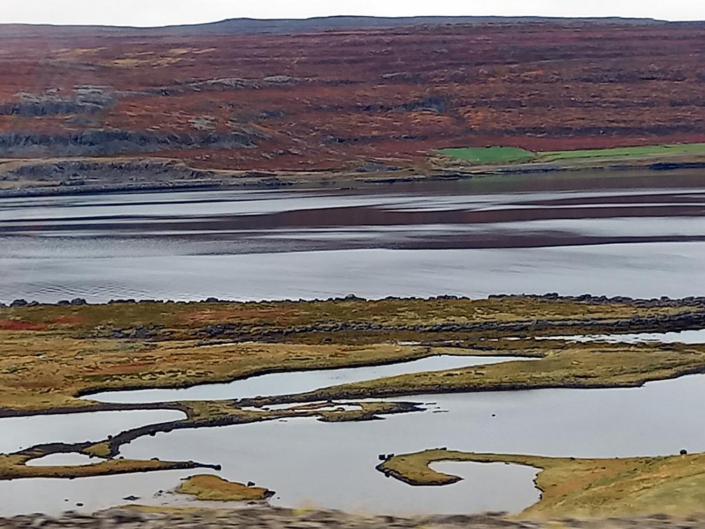 Island1460