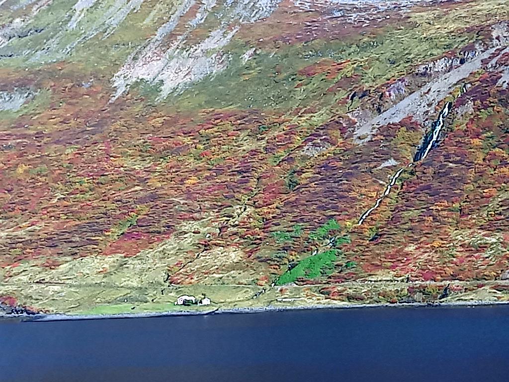 Island1545