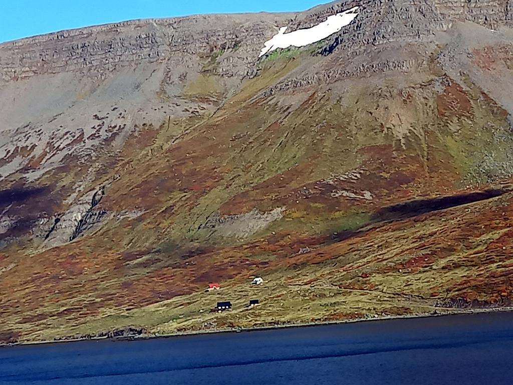 Island1551