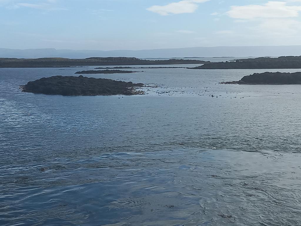 Island1875