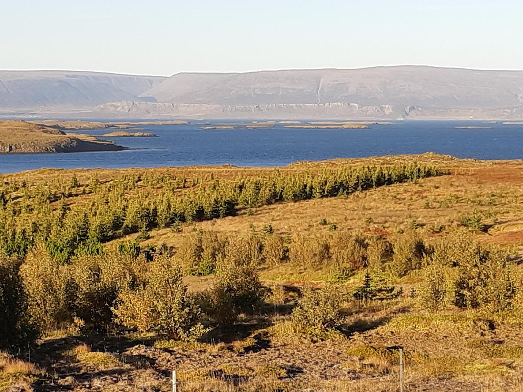 Island1931