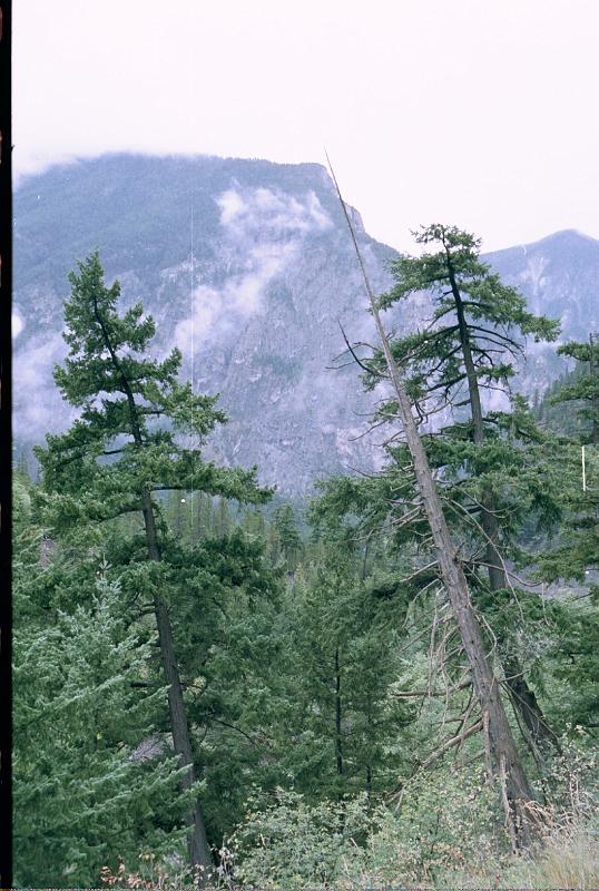 Kanada181