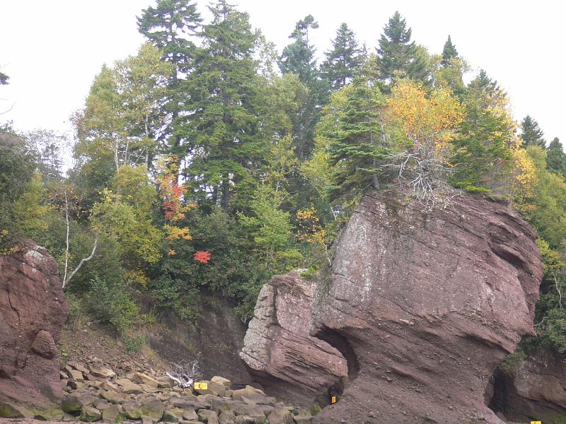 Kanada395