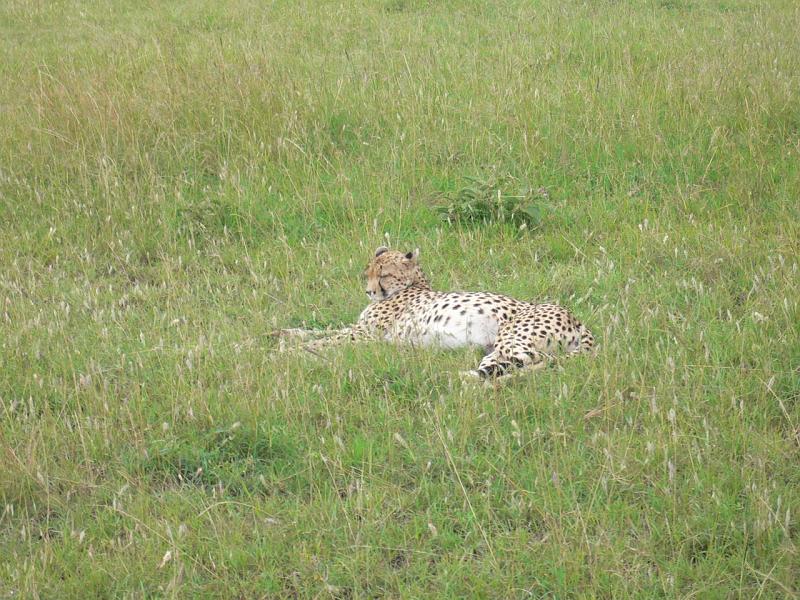 Kenia092