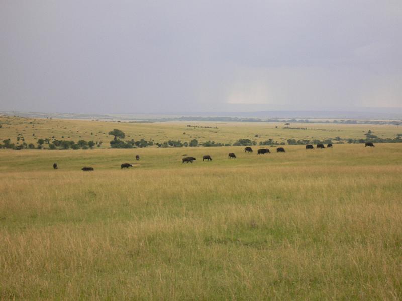 Kenia100