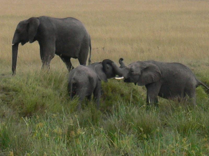 Kenia143