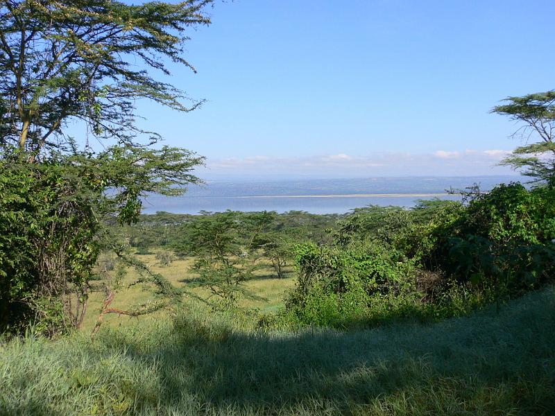 Kenia340