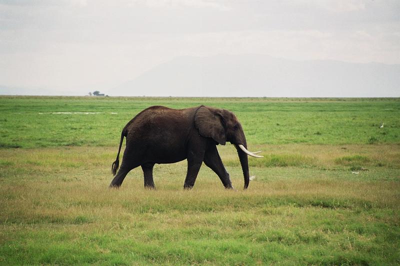 Kenia462