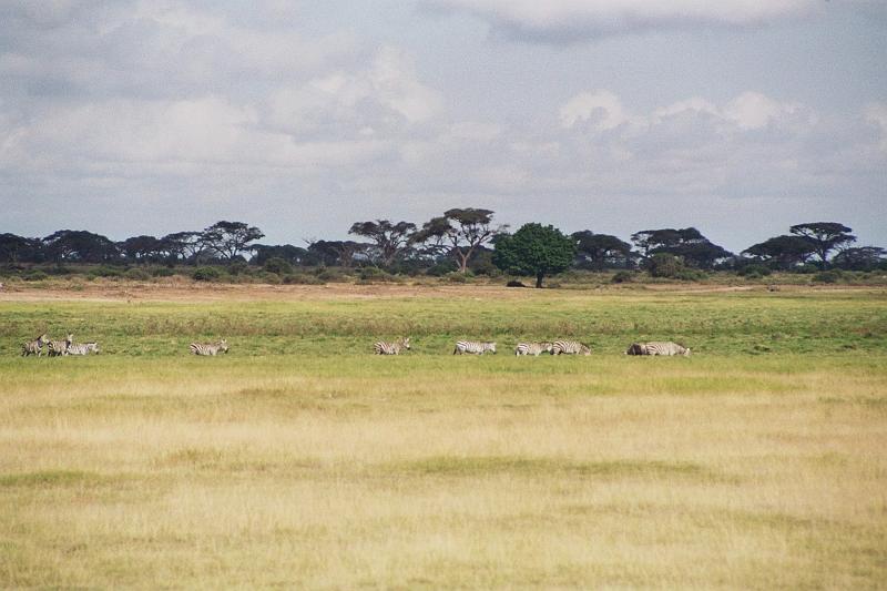 Kenia523