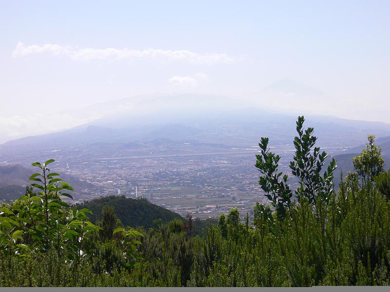 Teneriffa053