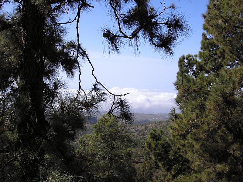 Teneriffa169